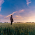 7 Predictions For Photography's Future